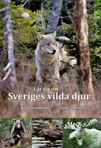 Lr dig om Sveriges vilda djur