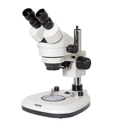 Stereo microscope with zoom binocular