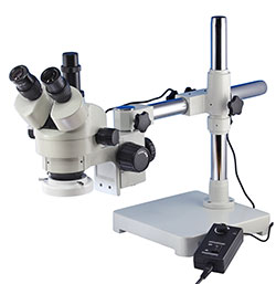 Stereo microscope trinocular IS