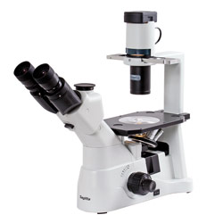 Mikroskop trinokulrt inverterat